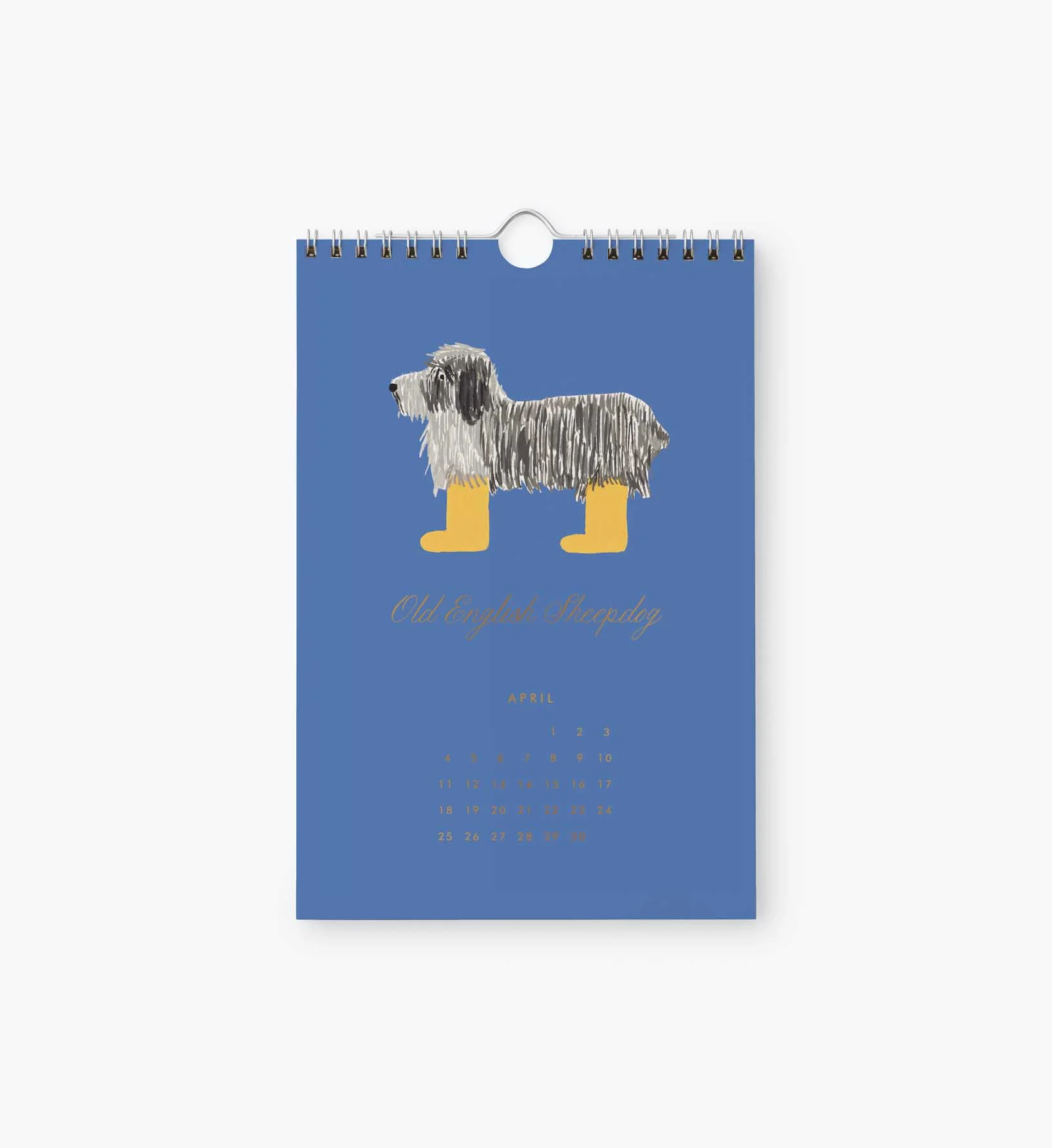 2027 Kitchen Calendar - Dog of the Month - Image 5