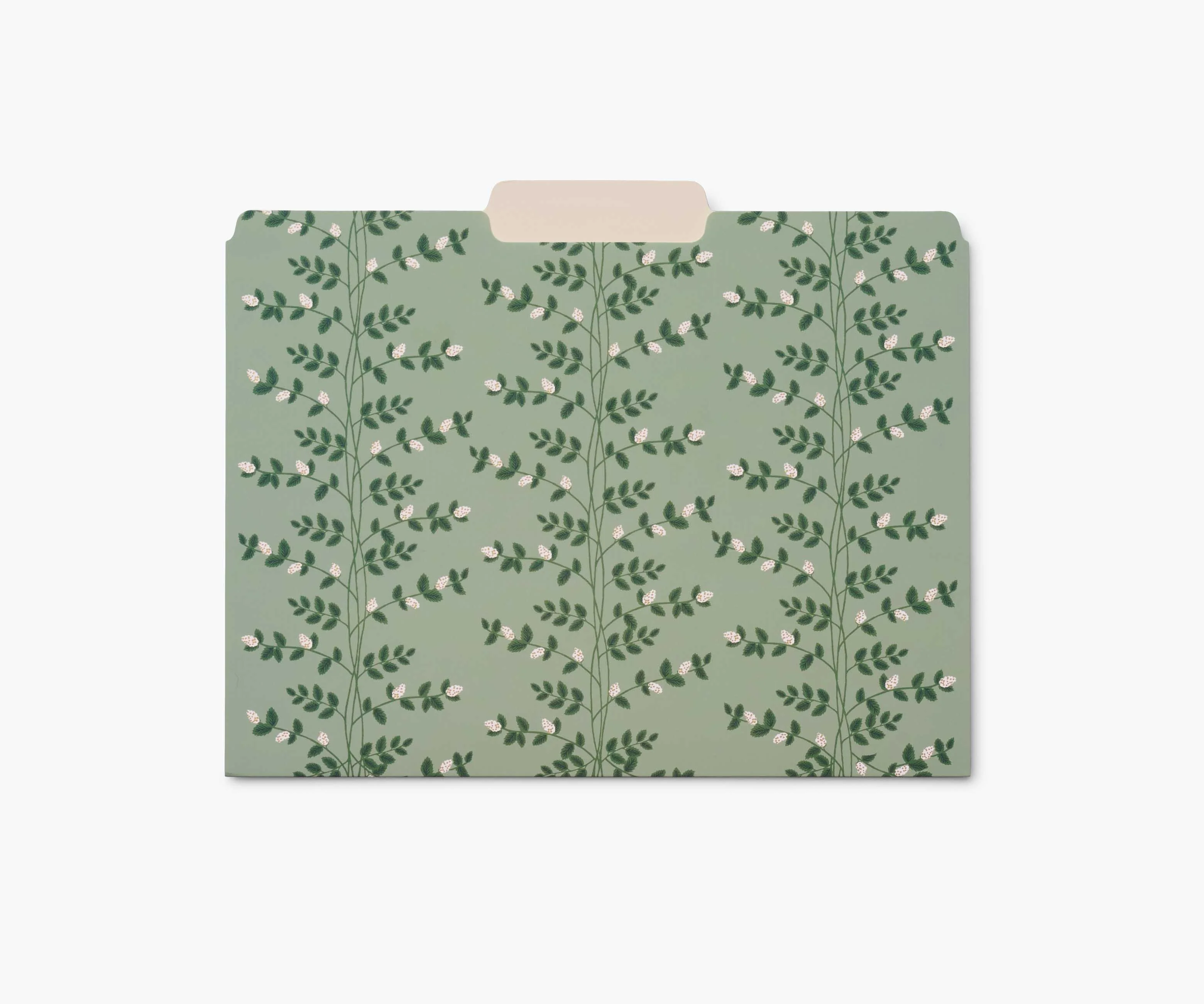Assorted File Folders - Dahlia - Image 5
