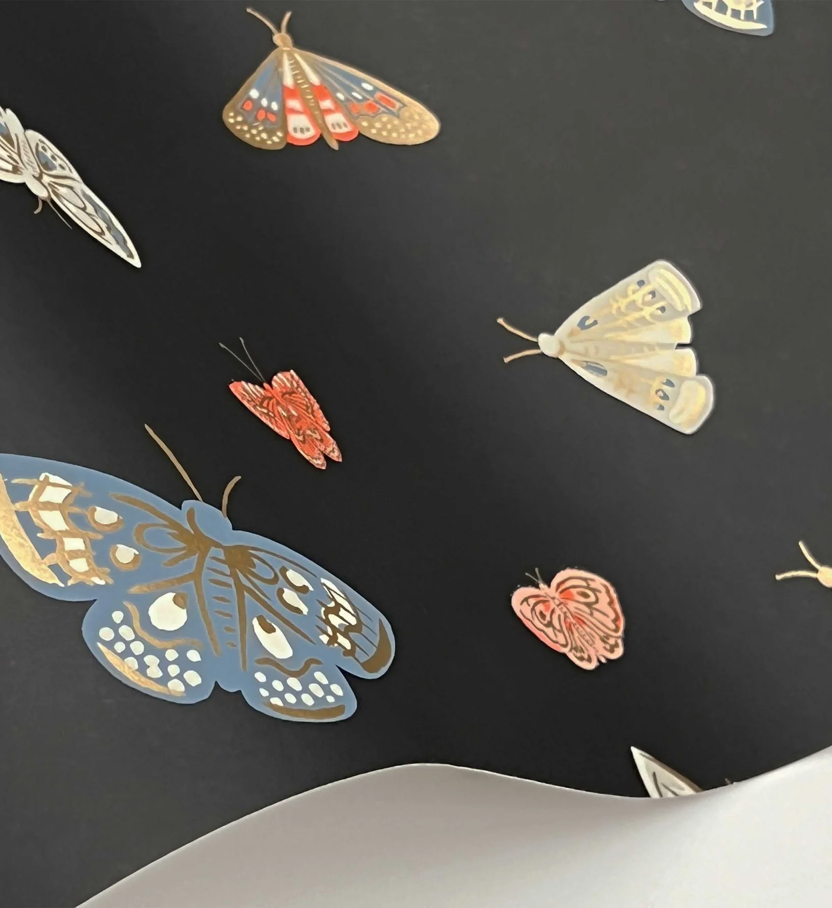 Butterfly House Wallpaper - Black - Image 4