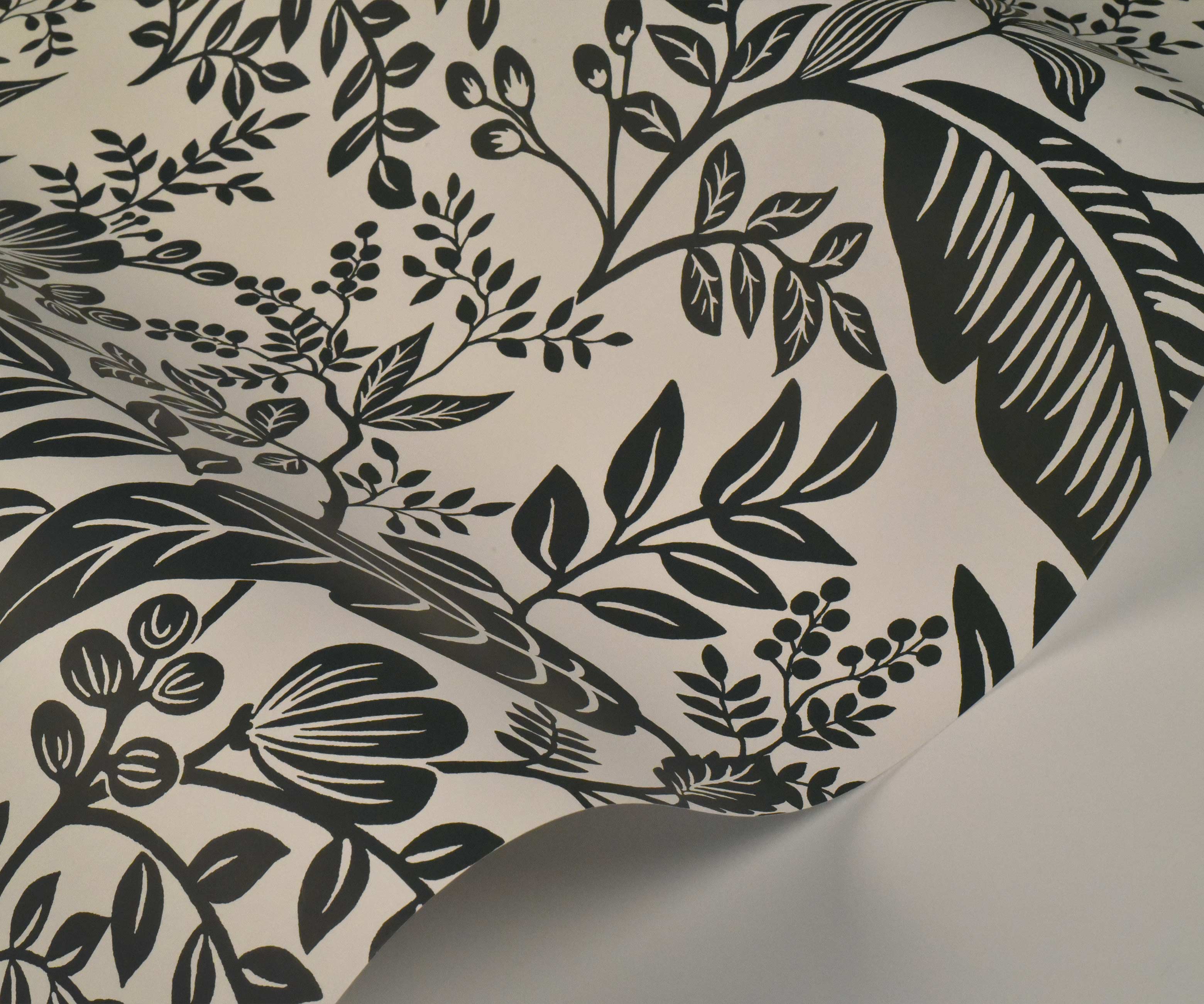 Canopy Wallpaper - Black & White - Image 4