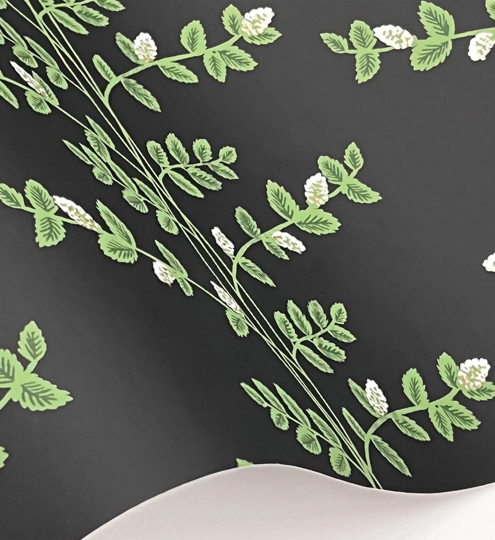 Climbing Vines Wallpaper - Black - Image 4