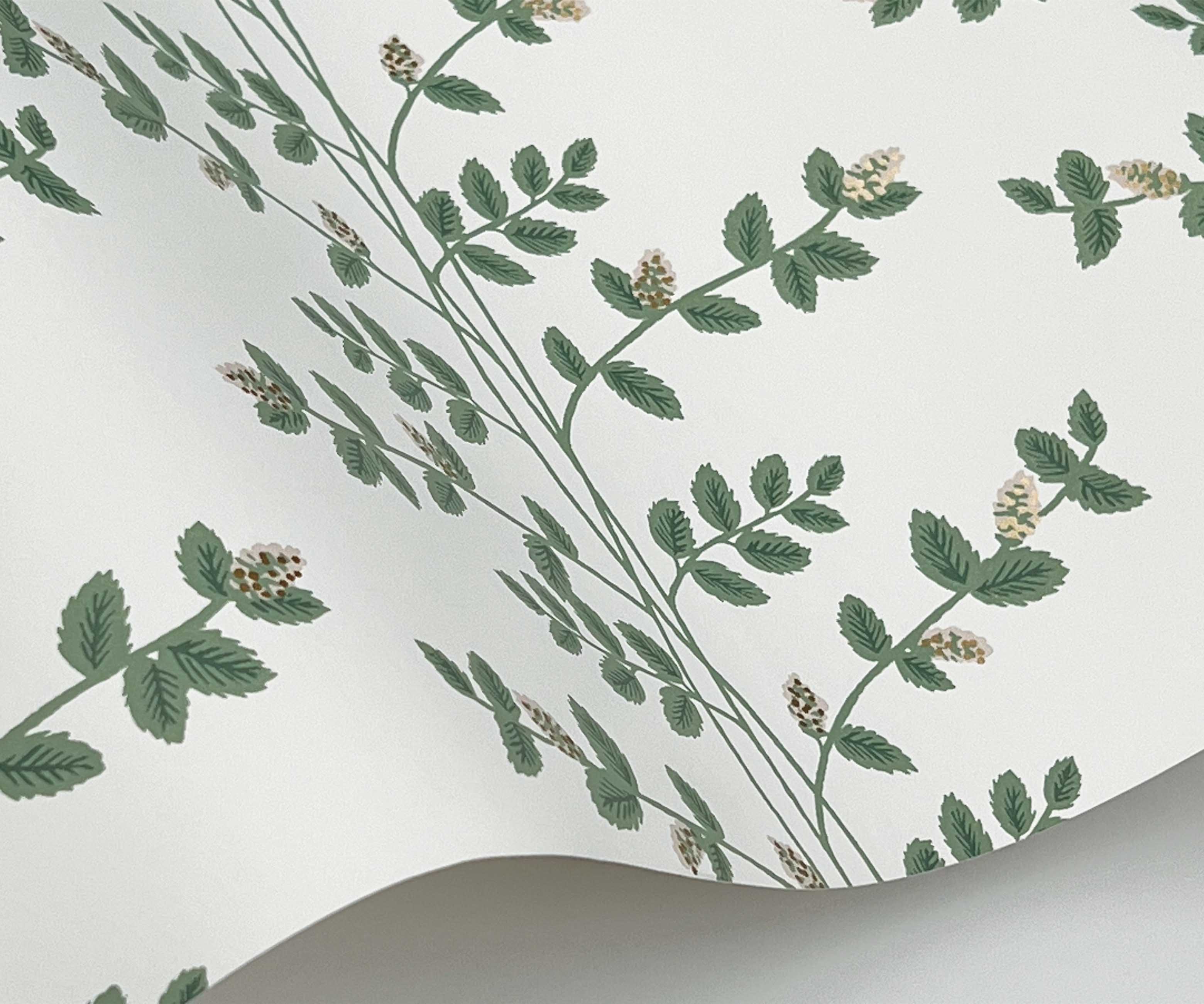 Climbing Vines Wallpaper Sample - White & Metallic Gold - Image 2