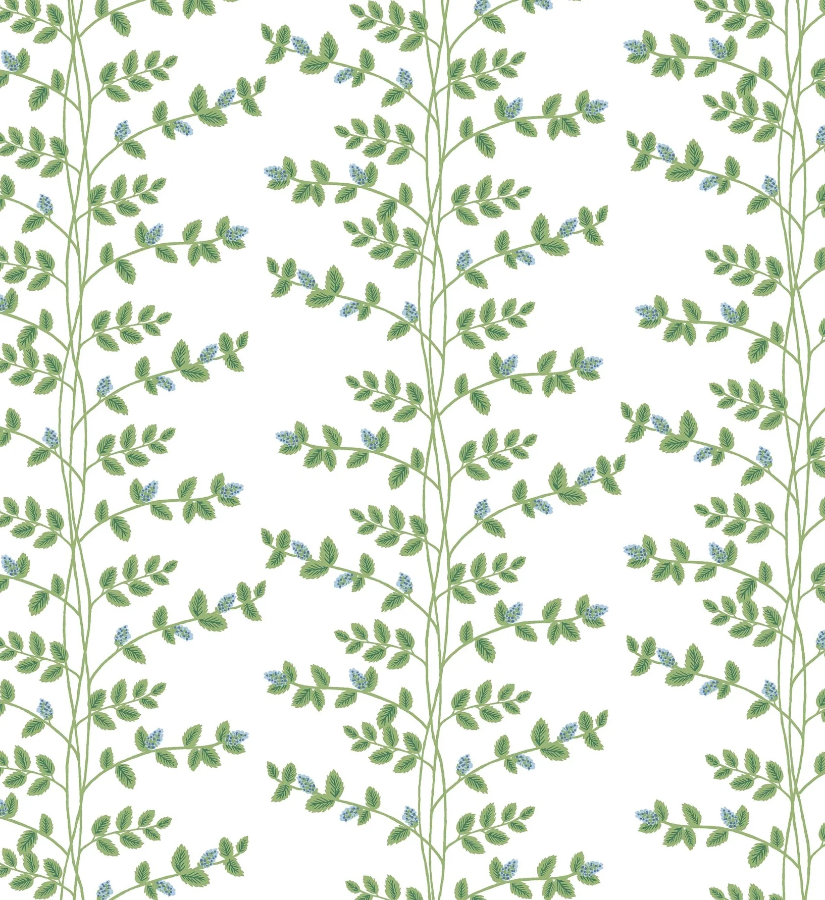 Climbing Vines Wallpaper - White & Blue - Image 3