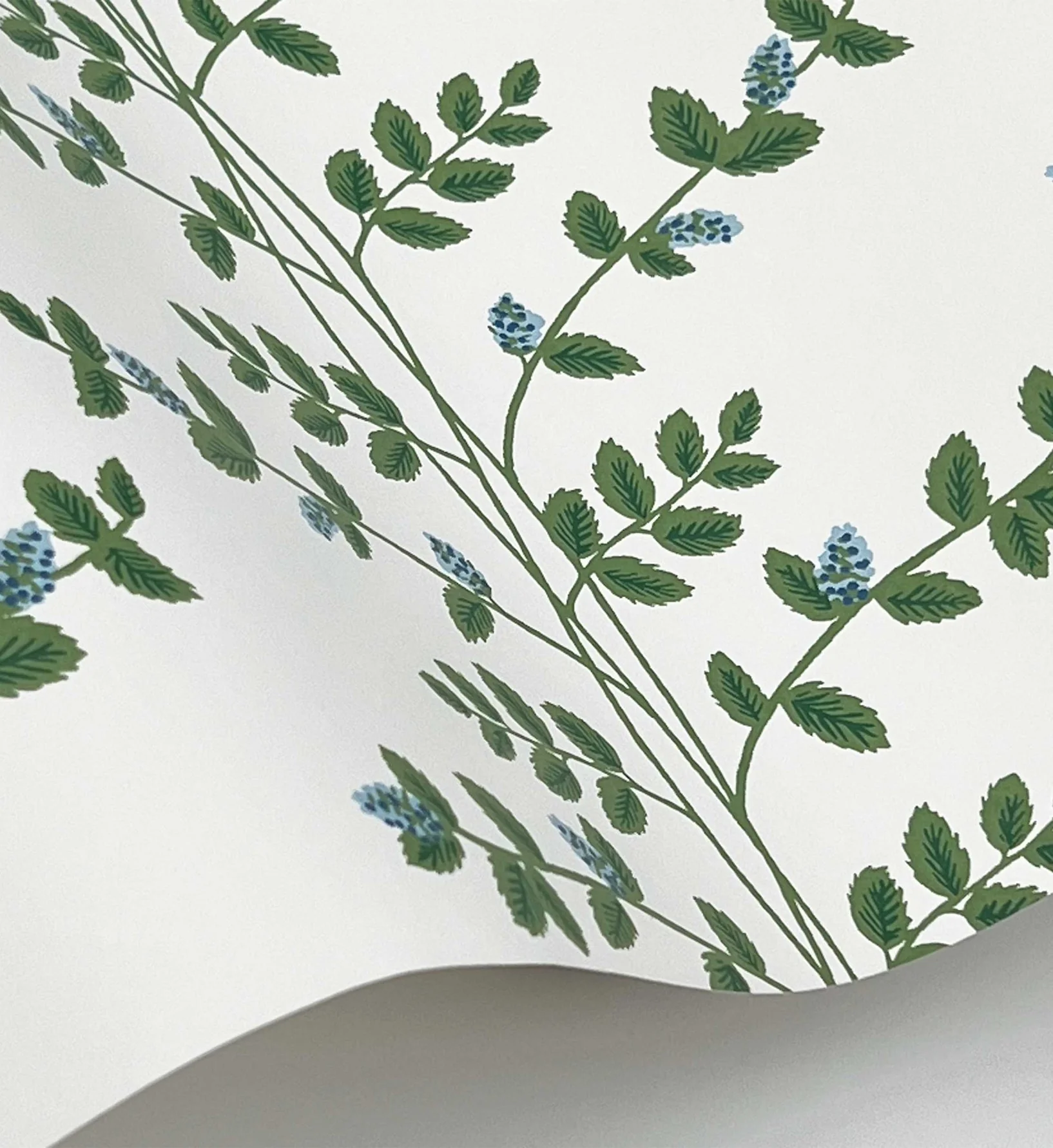 Climbing Vines Wallpaper - White & Blue - Image 4