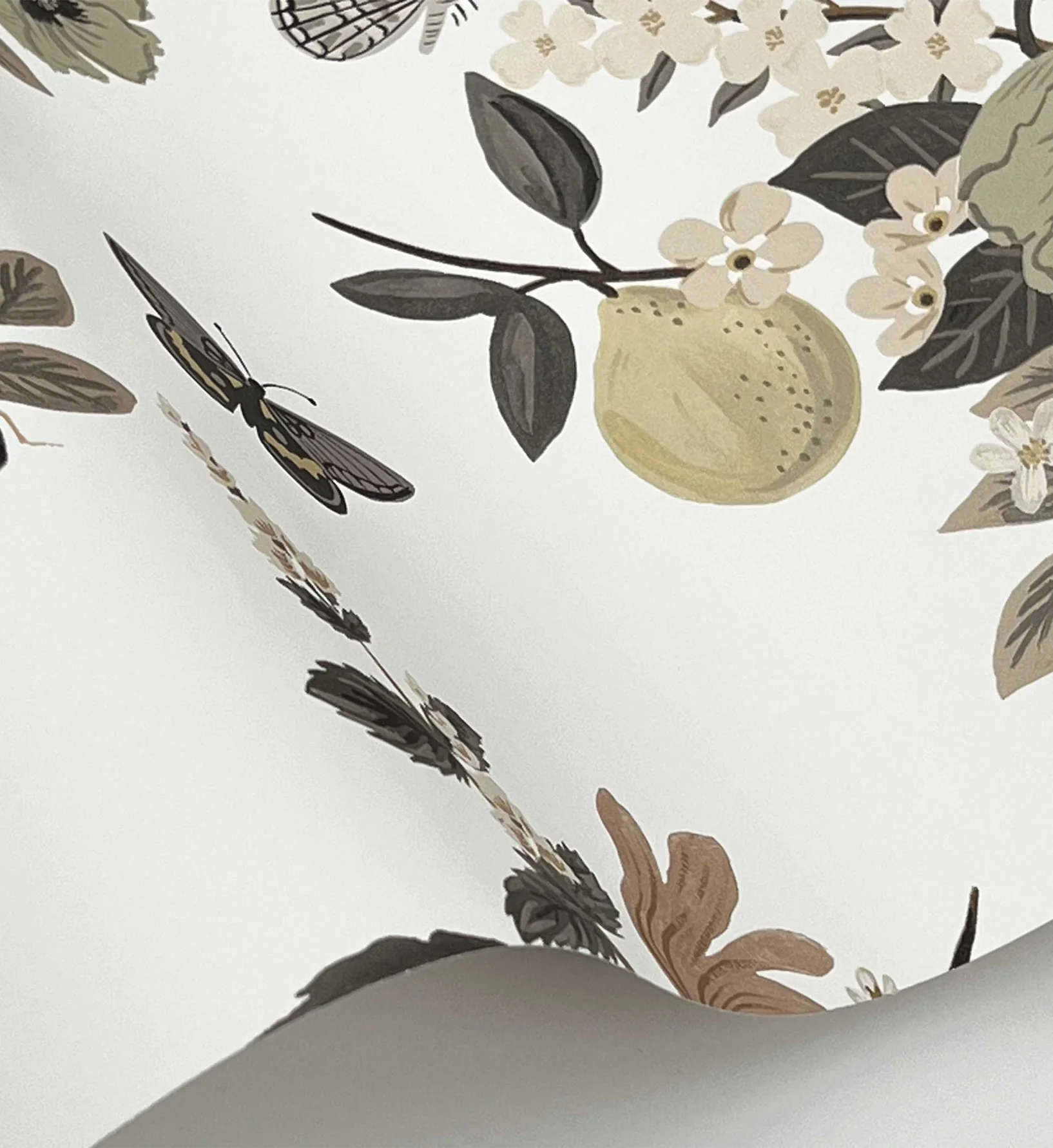 Flower Studies Wallpaper - Linen - Image 4