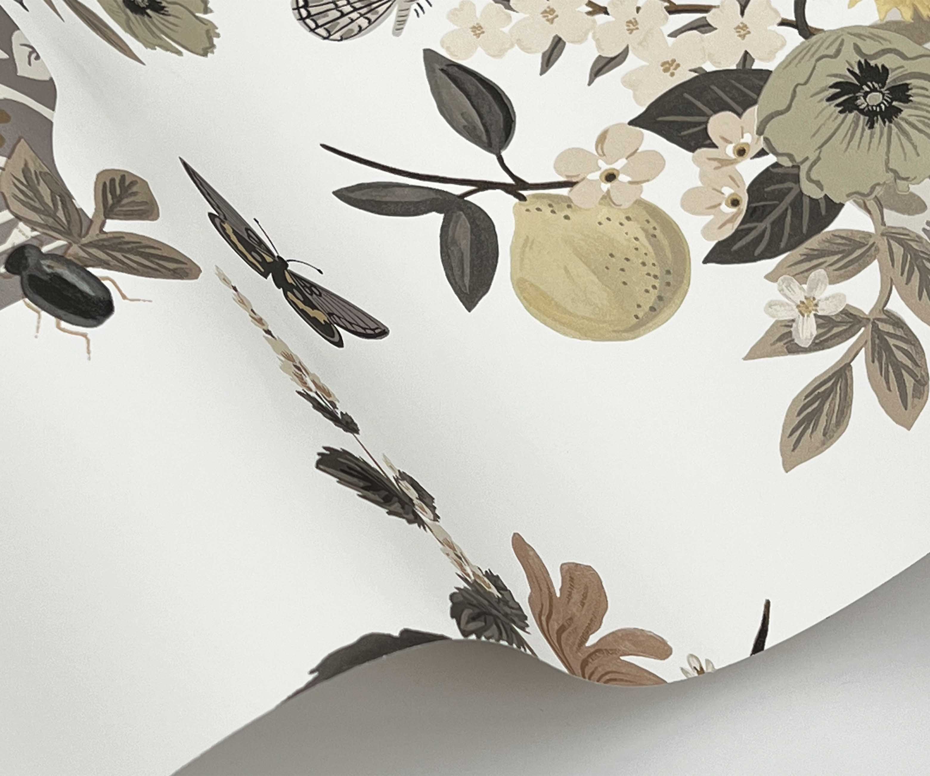 Flower Studies Wallpaper Sample - Linen - Image 2