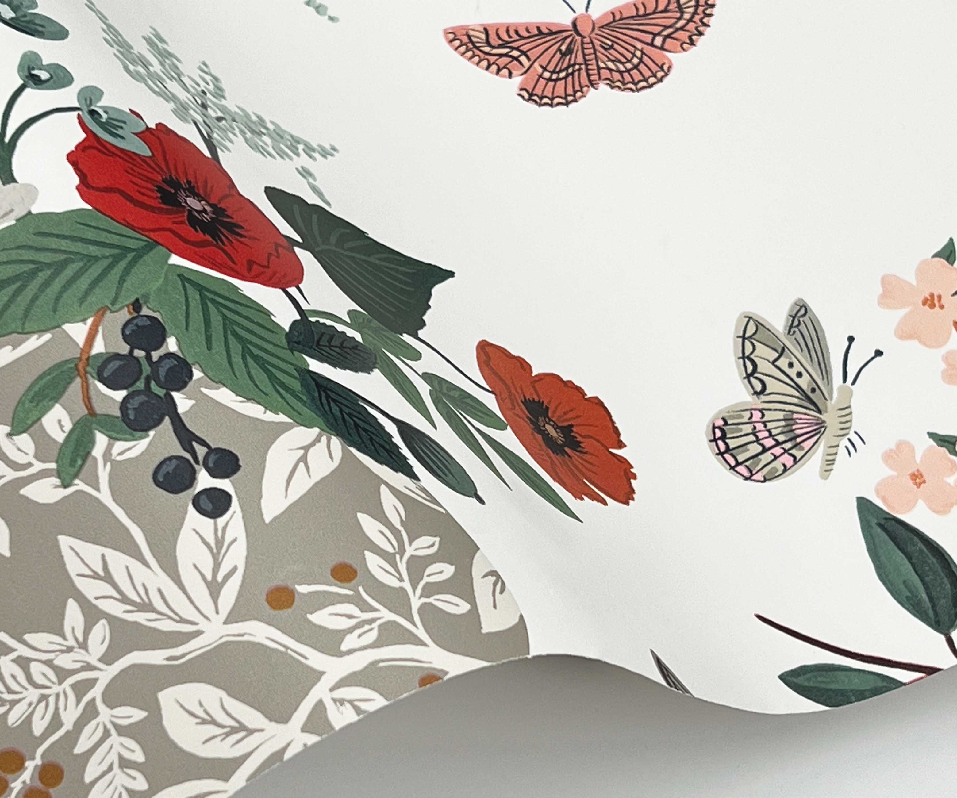 Flower Studies Wallpaper Sample - Rose Multi - Image 2