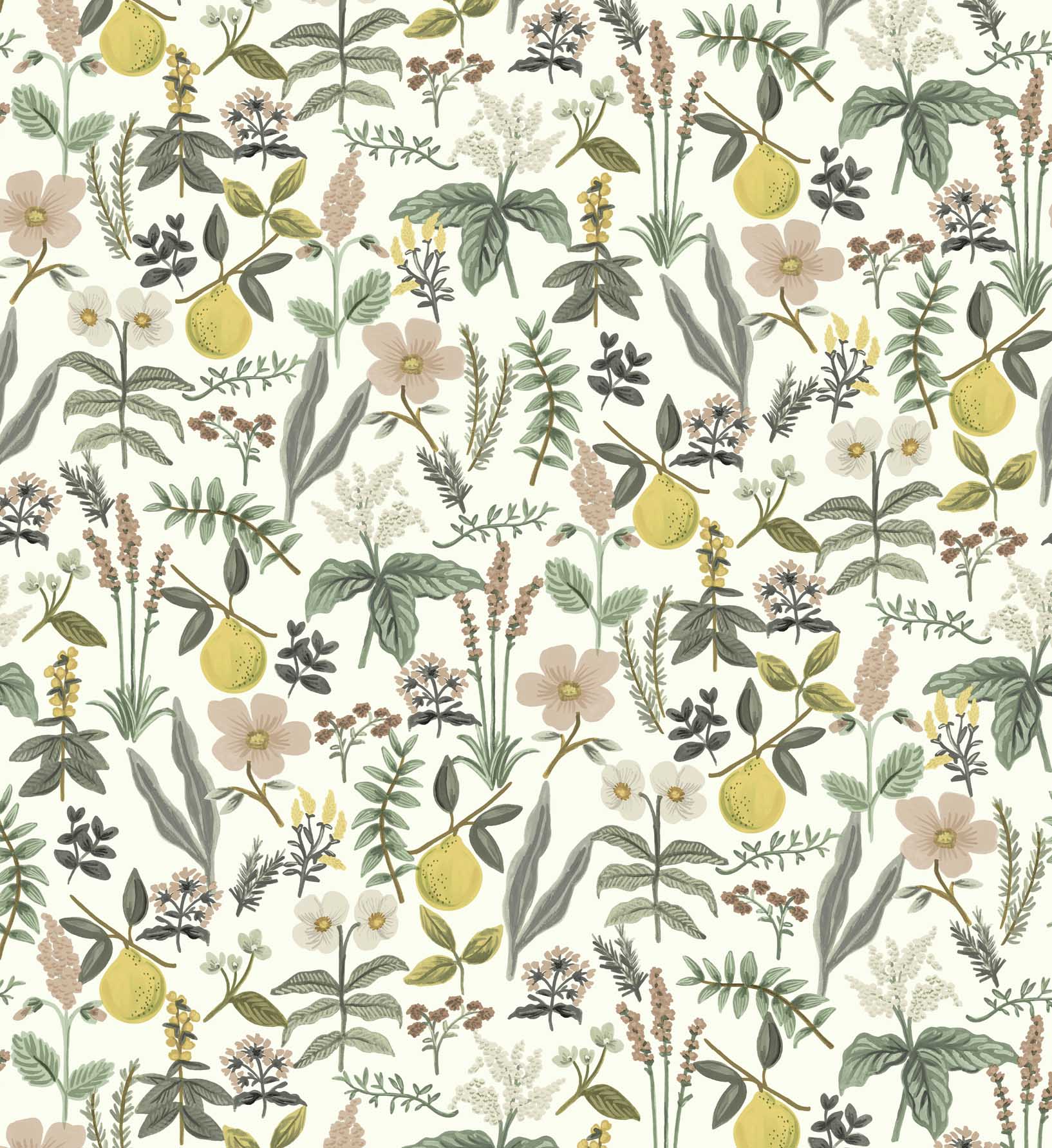 Herb Garden Peel & Stick Wallpaper - Cream - Image 4