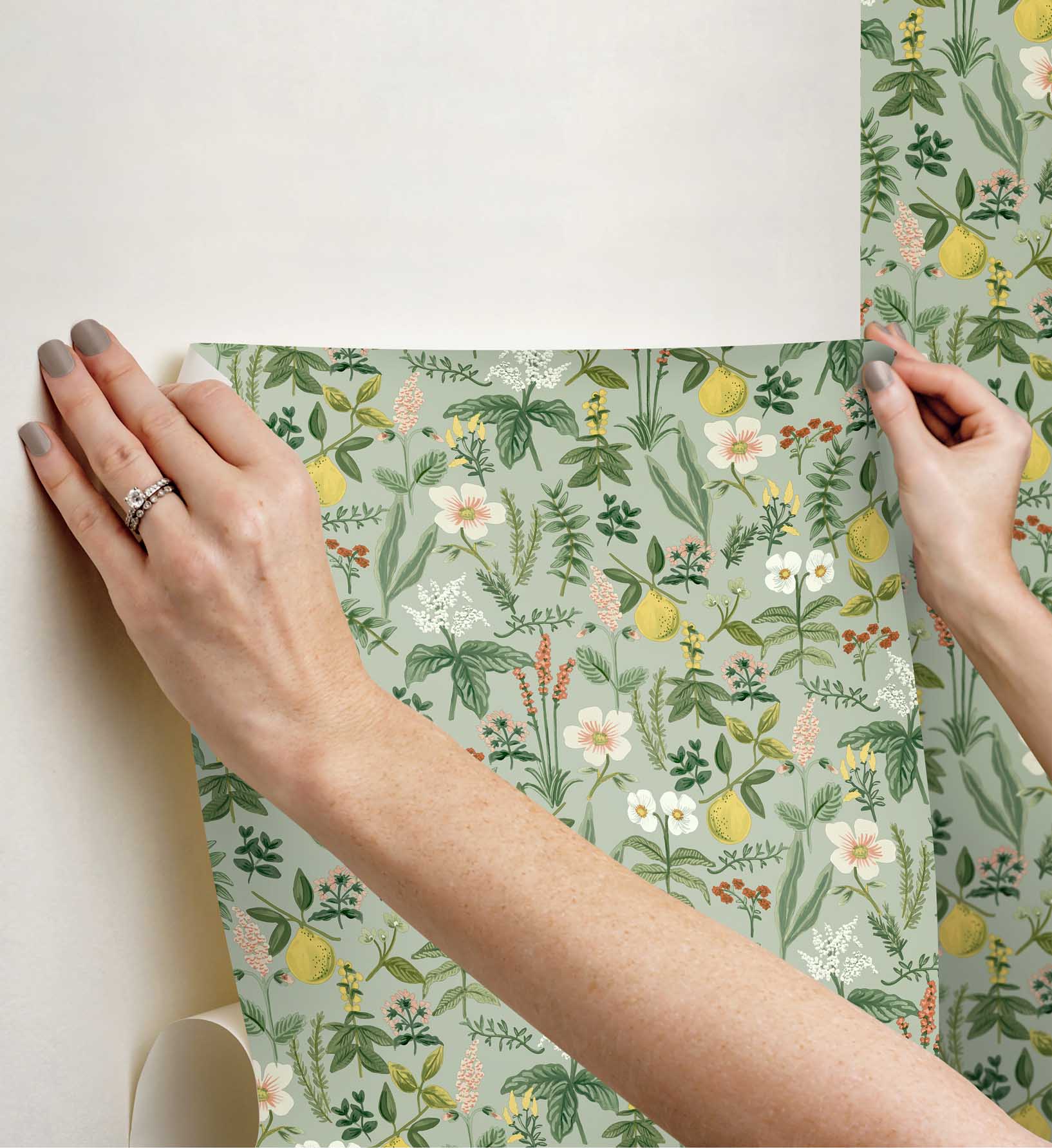 Herb Garden Peel & Stick Wallpaper - Sage - Image 3