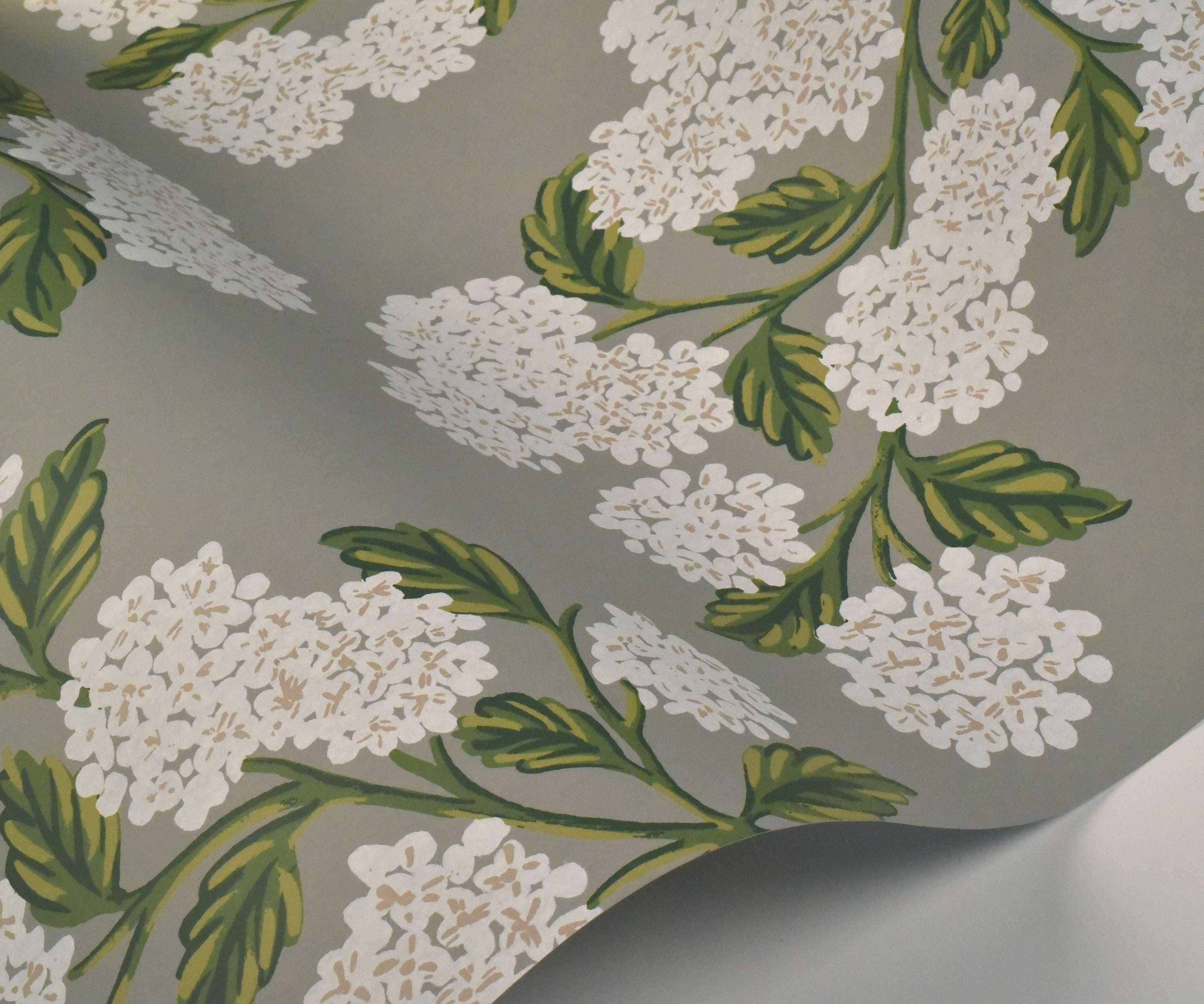 Hydrangea Wallpaper Sample - Grey - Image 2