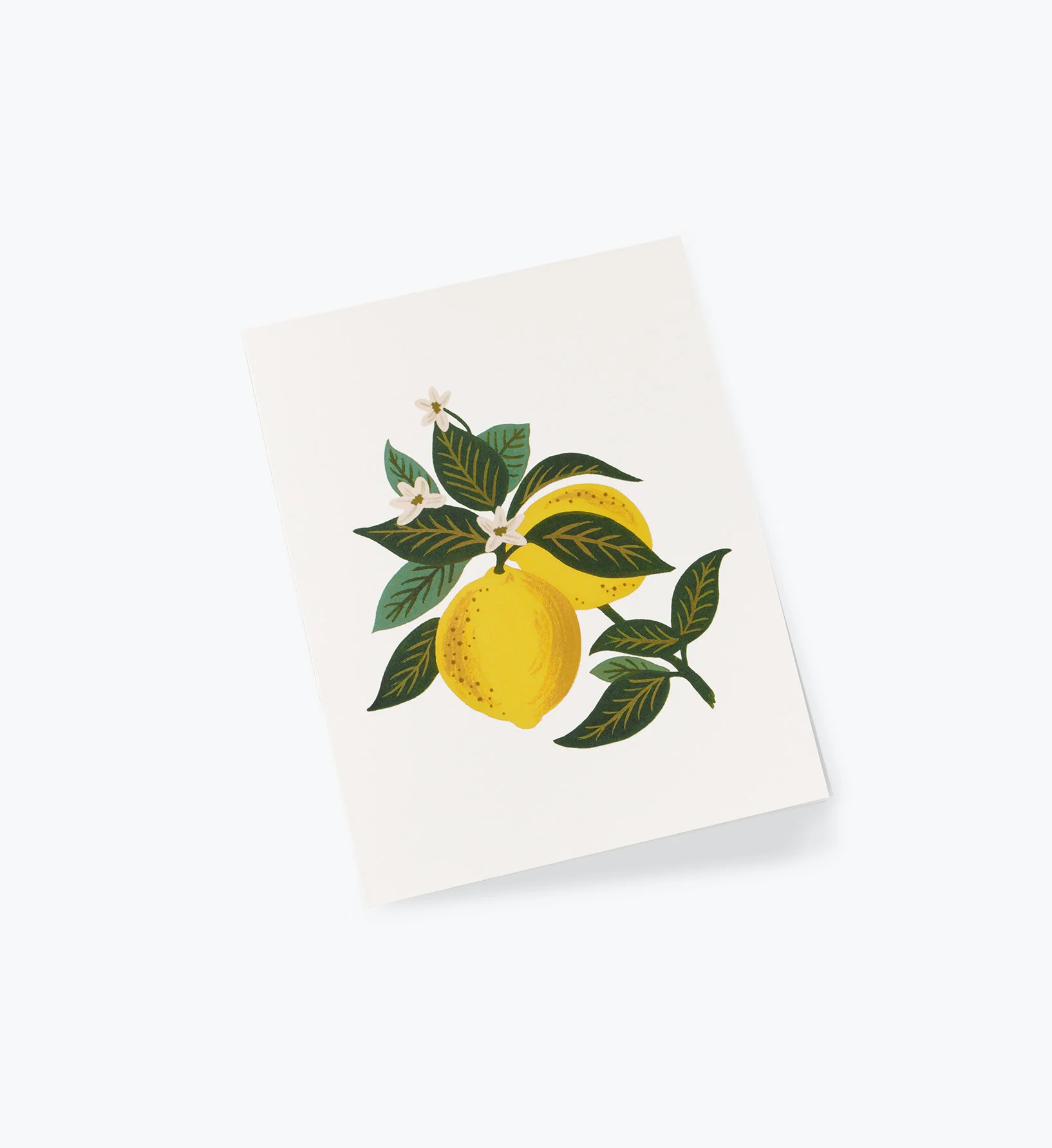 Lemon Blossom Everyday Card - Single Card - Image 4