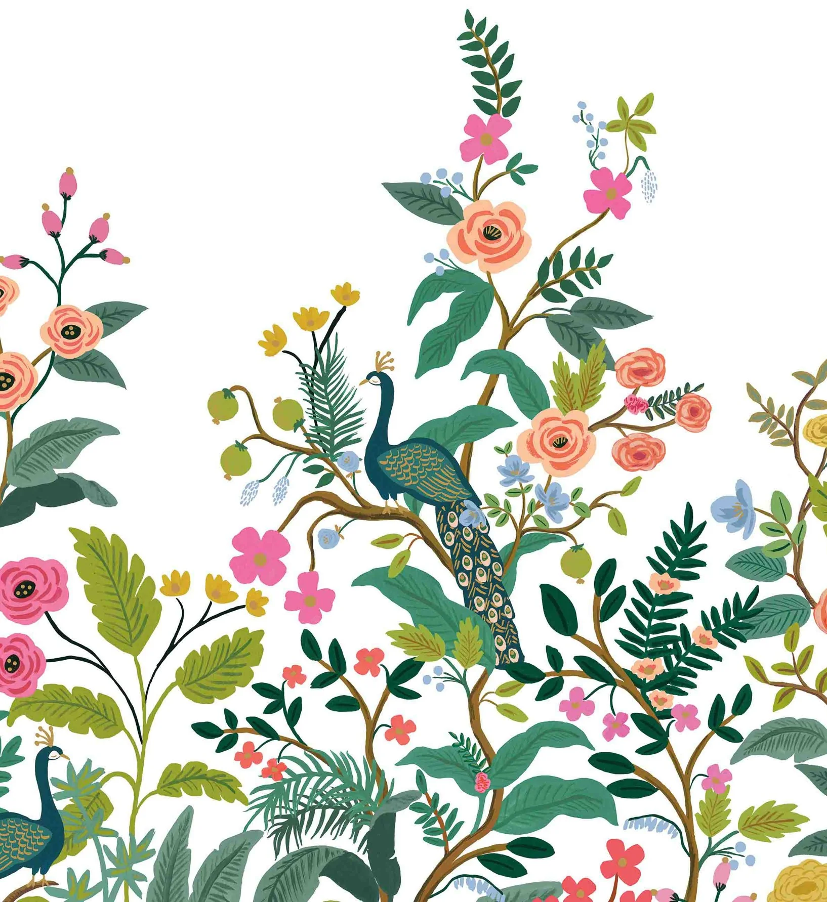 Peacock Wallpaper Mural - White - Image 3