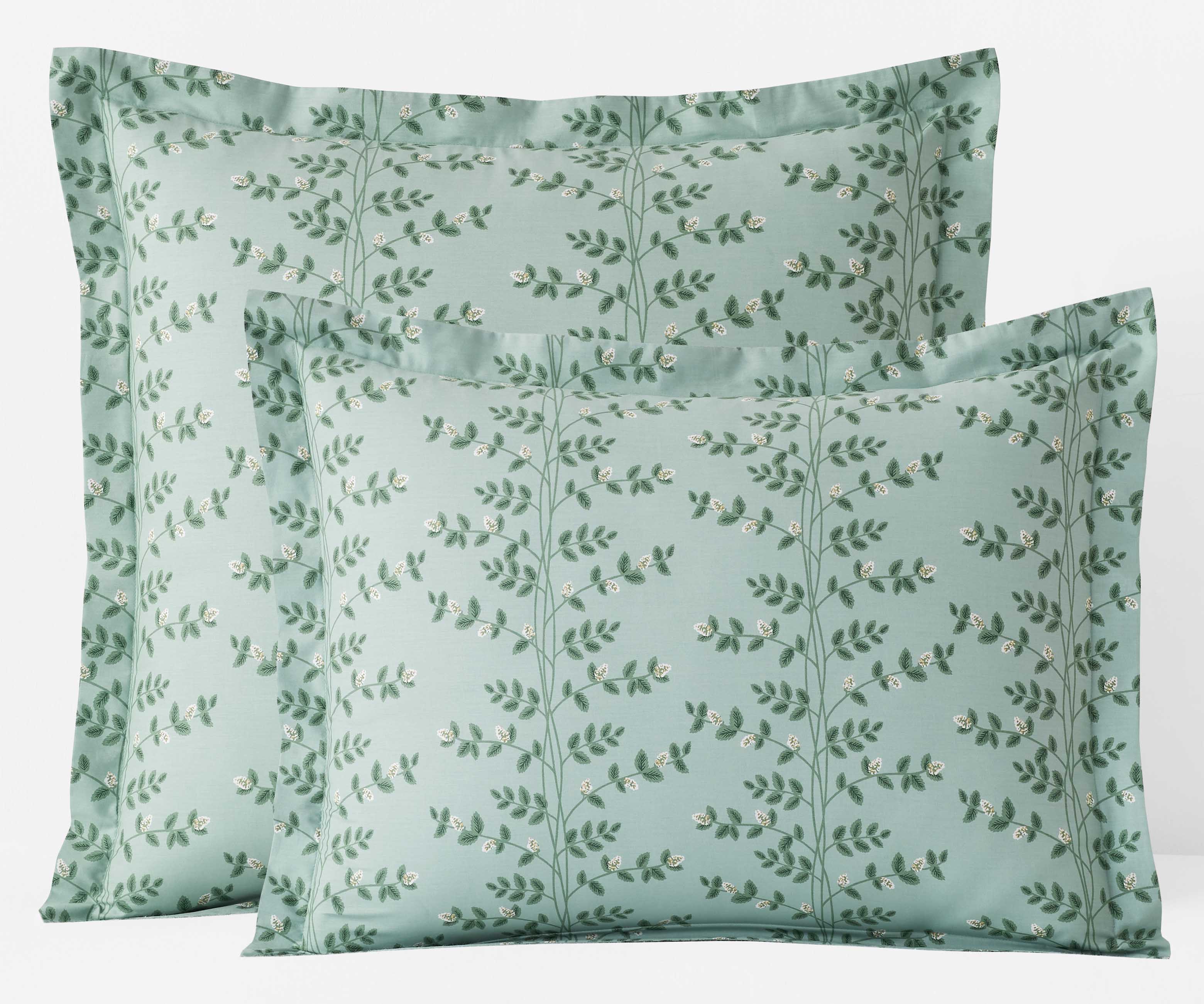 Percale Sham - Climbing Vines Sage - Image 5
