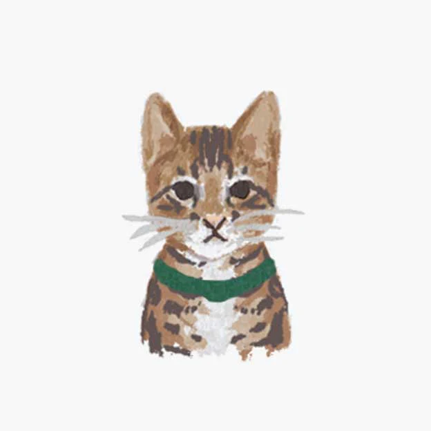 Pets Personalized Stationery - Cat 3 - Image 2