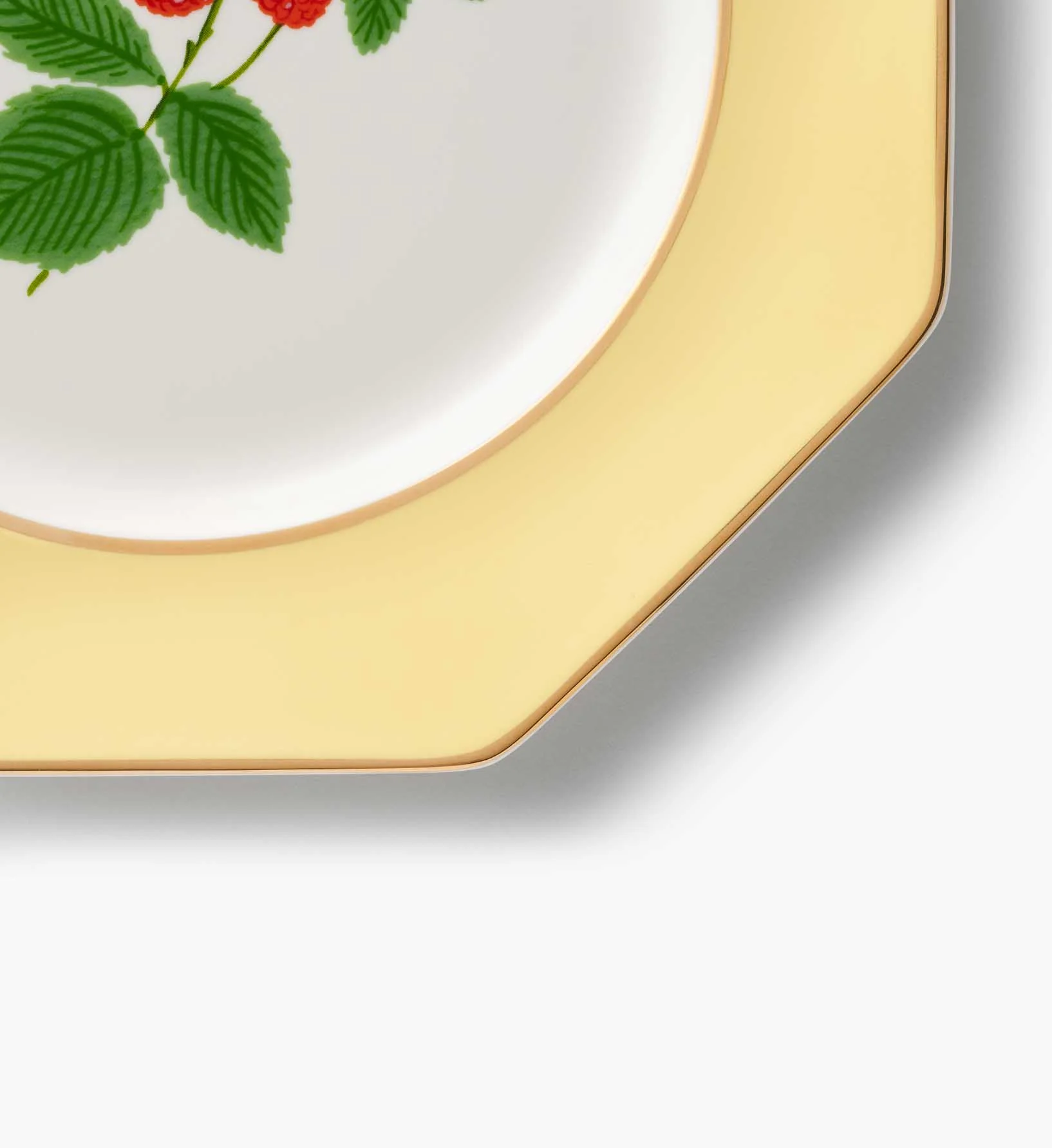 Porcelain Dessert Plate Set - Roses - Image 8