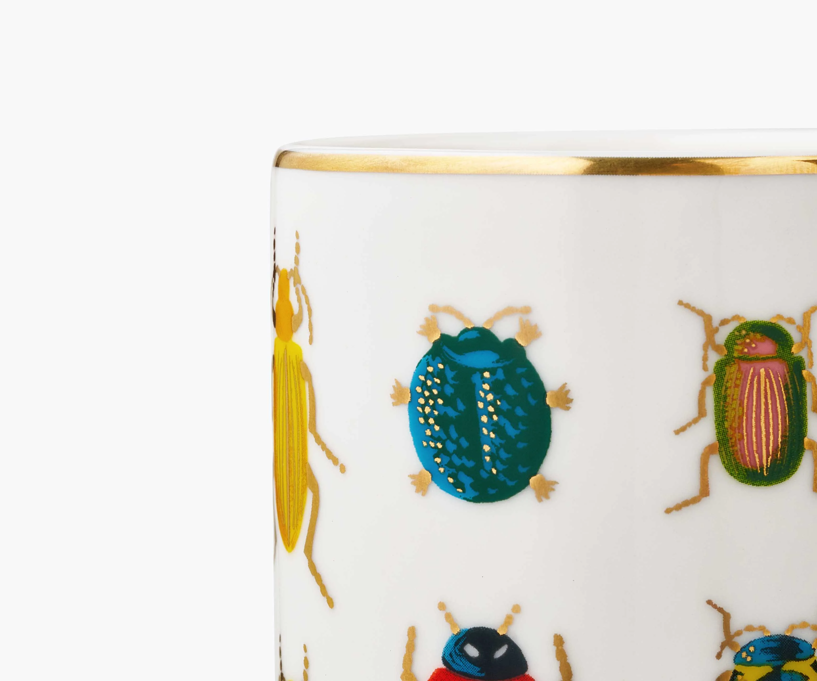 Porcelain Vase - Beetles & Bugs - Image 3