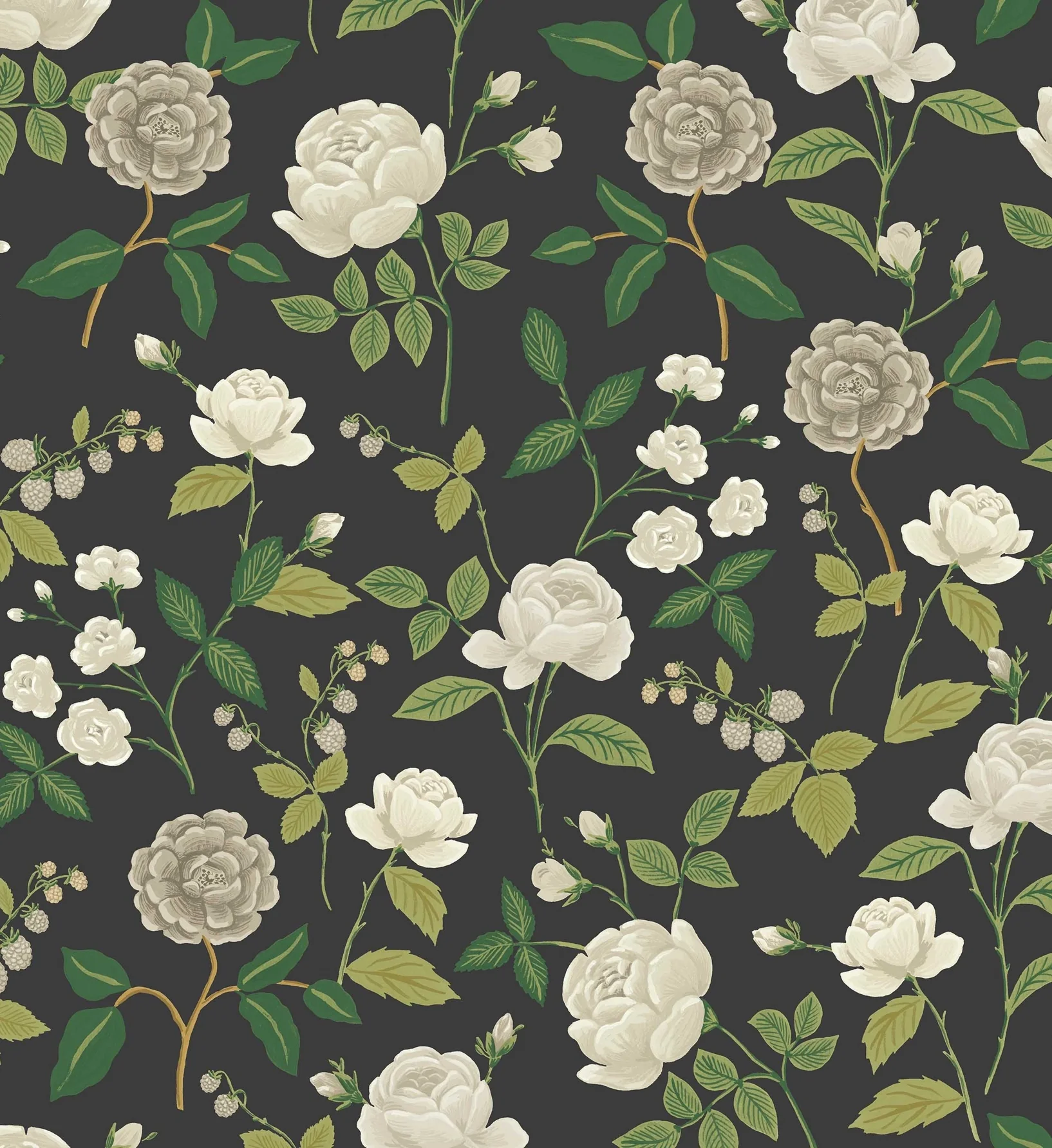Roses Wallpaper - Black - Image 3
