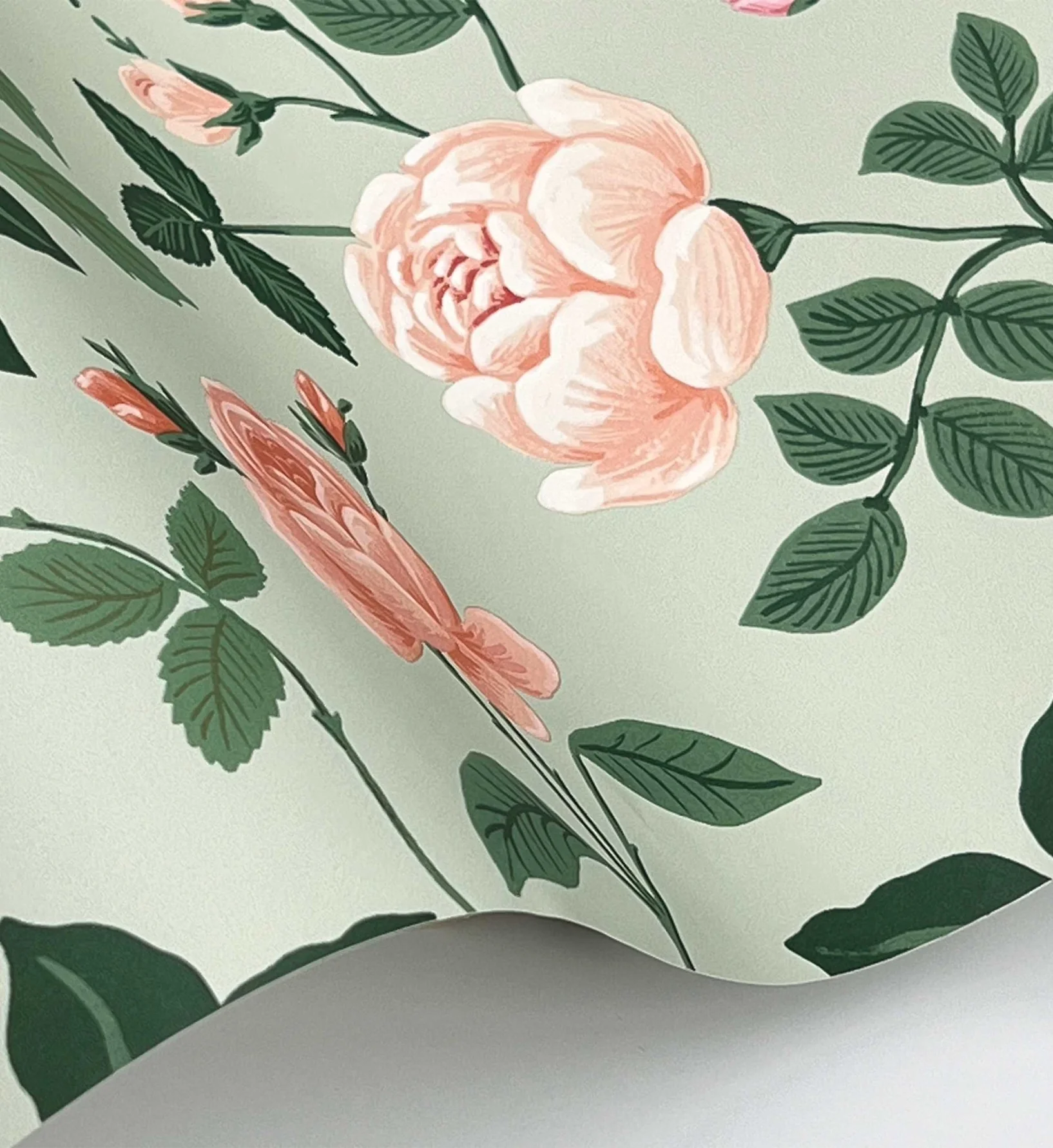 Roses Wallpaper - Mint - Image 4