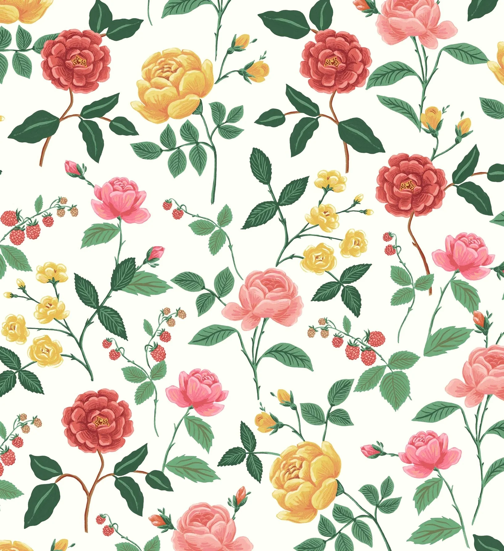 Roses Wallpaper - White & Blush - Image 3