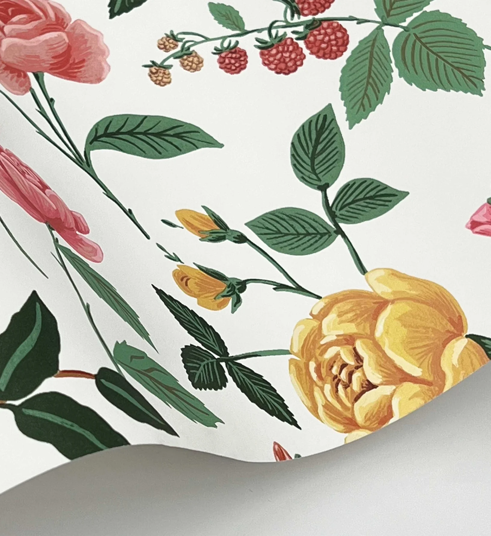 Roses Wallpaper - White & Blush - Image 4