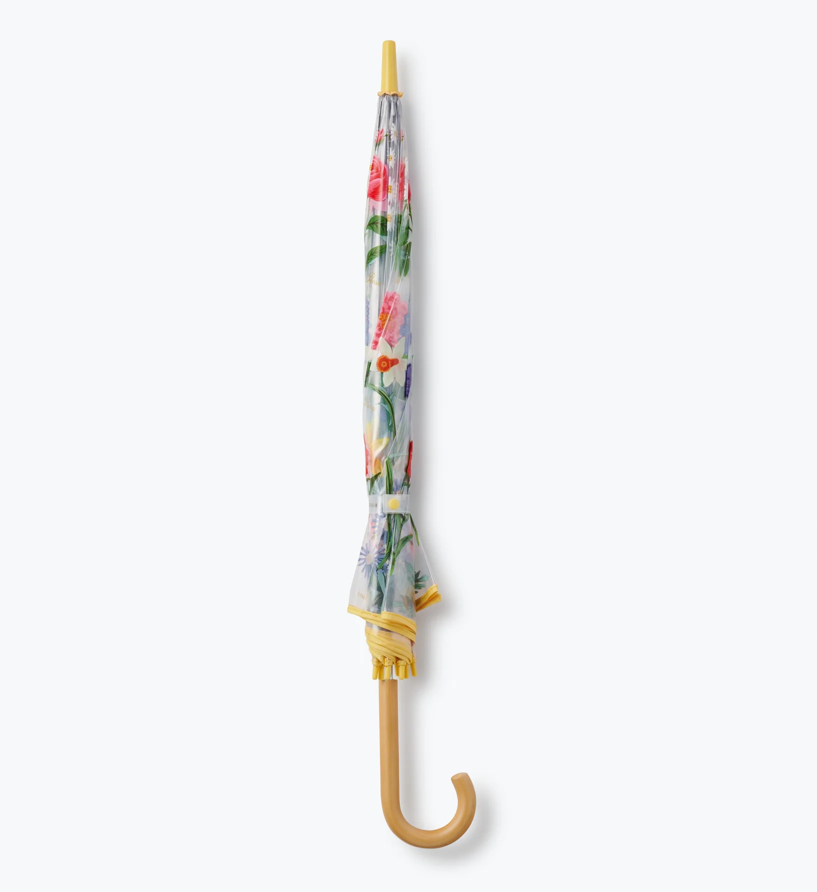 Umbrella - Garden Study - Image 3