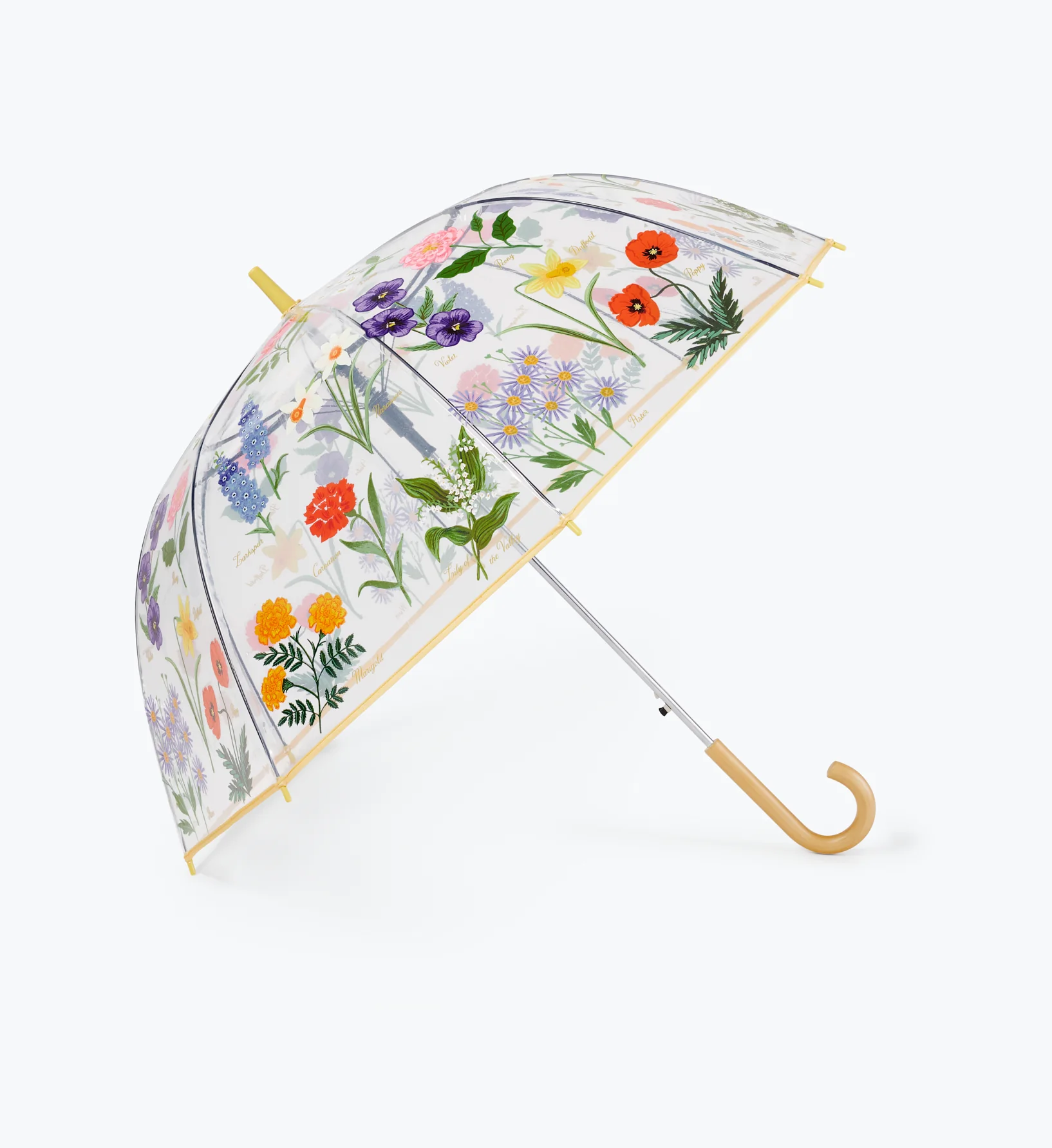 Umbrella - Garden Study - Image 5