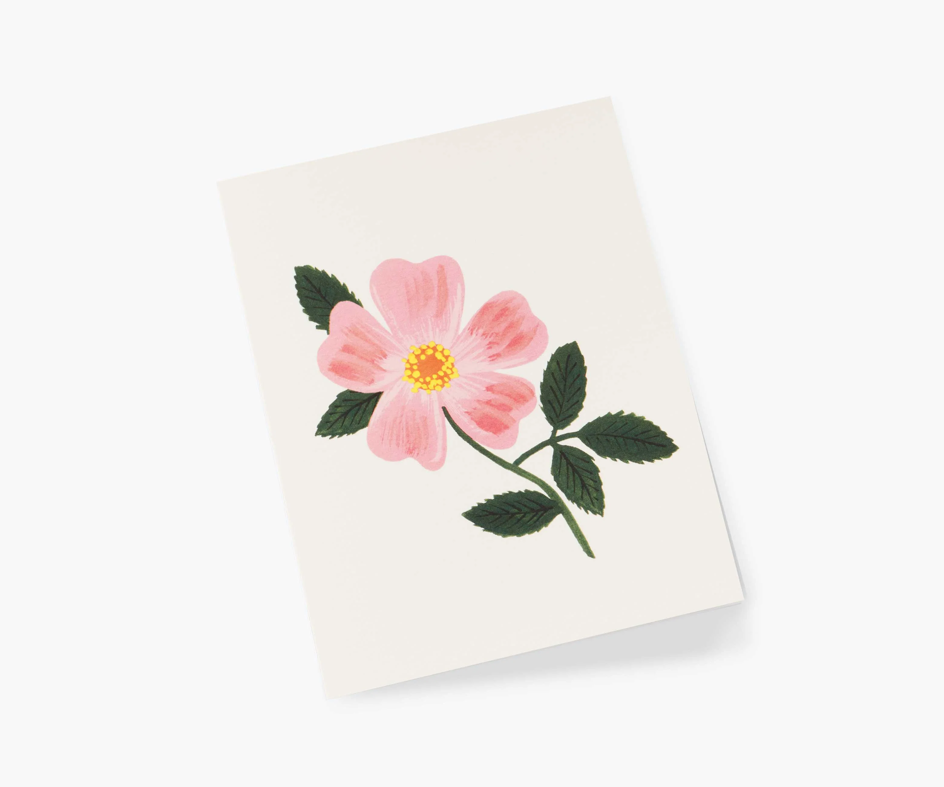 Wild Prairie Rose Everyday Card - Single Card - Image 2